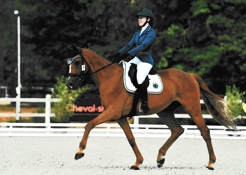 Cheval et cavalière Équitation