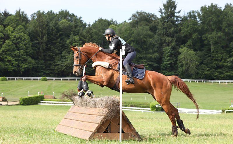 Équitation Équitation