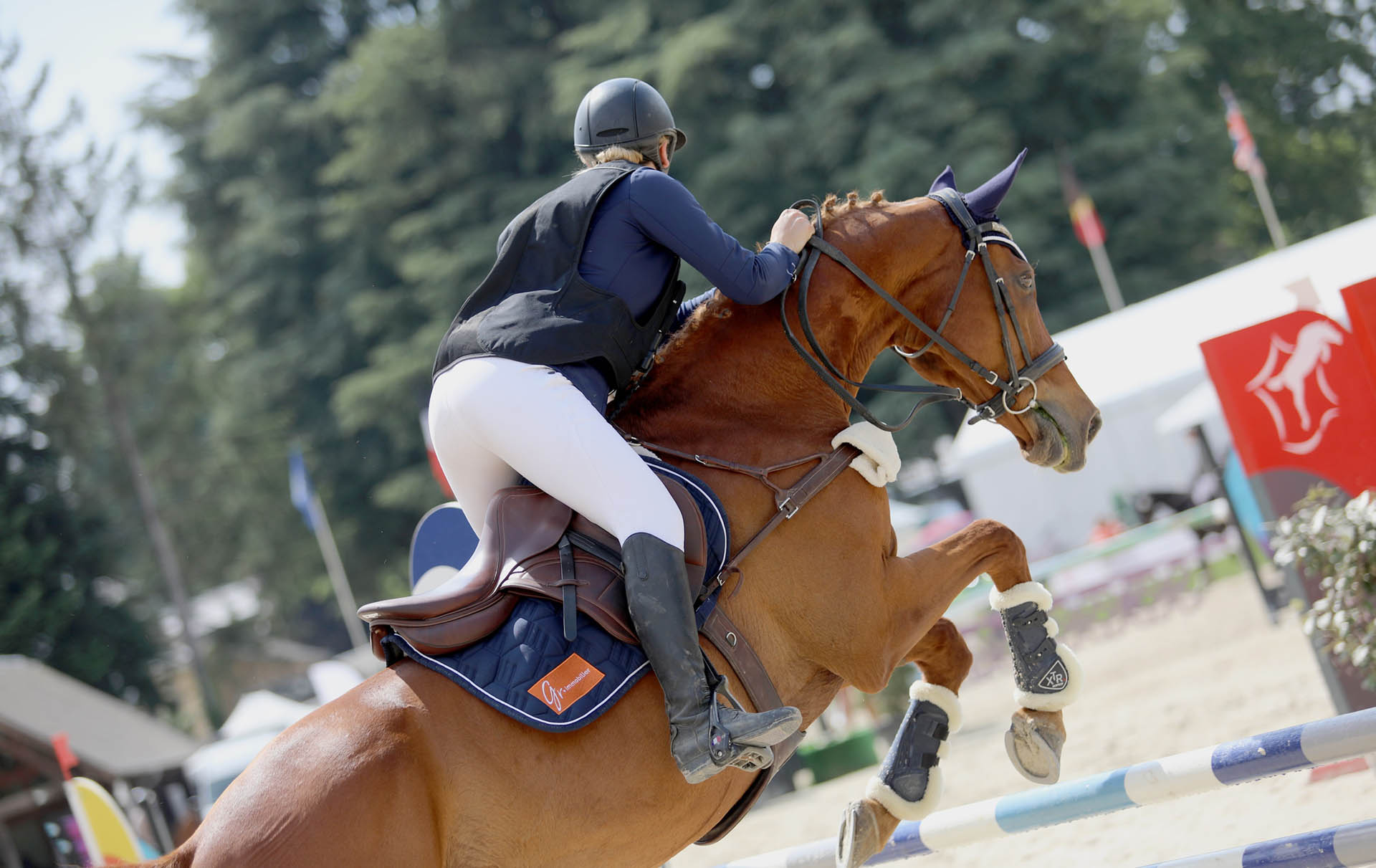équitation femme équitation femme